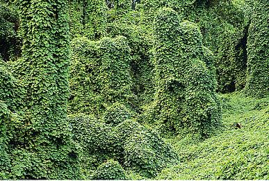 《符文工厂：龙之国》新预告 男女双主角可选